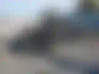 Vehicle Image- 2017 Dodge Charger