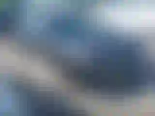 Vehicle Image- 2019 Dodge Charger