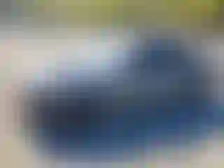 Vehicle Image- 2021 Dodge Charger