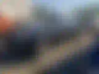 Vehicle Image- 2013 Dodge Challenger