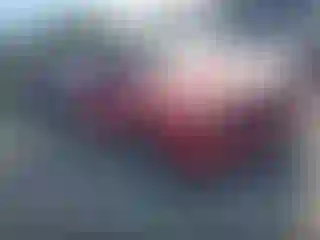 Vehicle Image- 2012 Dodge Challenger