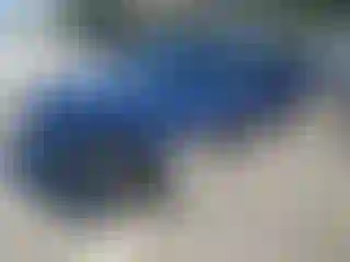 Vehicle Image- 2014 Dodge Challenger