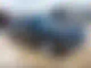 Vehicle Image- 2013 Dodge Challenger