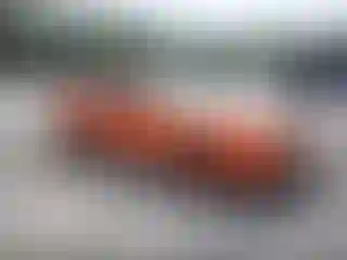 Vehicle Image- 2014 Dodge Challenger