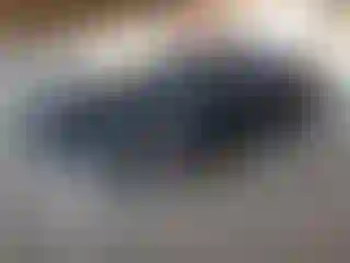 Vehicle Image- 2014 Dodge Challenger