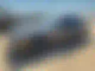 Vehicle Image- 2013 Dodge Challenger