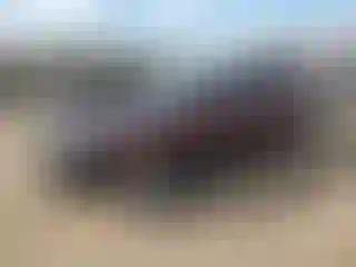 Vehicle Image- 2012 Dodge Challenger