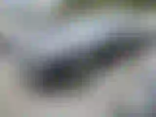 Vehicle Image- 2013 Dodge Challenger