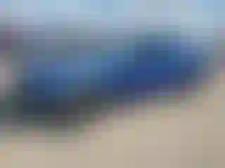 Vehicle Image- 2012 Dodge Challenger