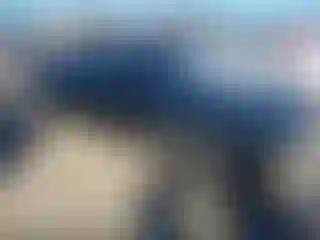 Vehicle Image- 2012 Dodge Challenger