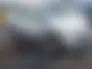 Vehicle Image- 2013 Dodge Challenger