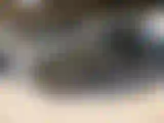 Vehicle Image- 2013 Dodge Challenger