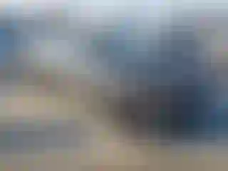 Vehicle Image- 2019 Dodge Challenger