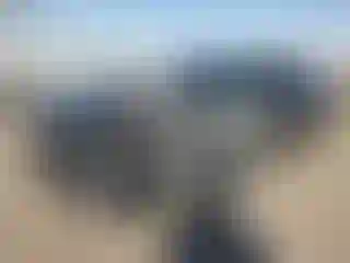 Vehicle Image- 2022 Dodge Challenger