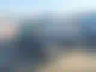 Vehicle Image- 2019 Dodge Challenger