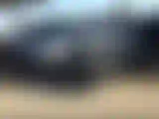 Vehicle Image- 2019 Dodge Challenger
