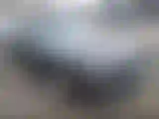 Vehicle Image- 2015 Dodge Challenger