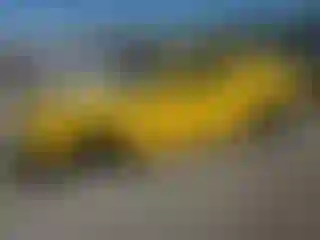 Vehicle Image- 2017 Dodge Challenger
