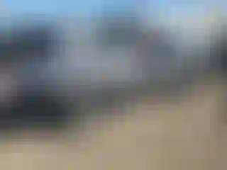 Vehicle Image- 2019 Dodge Challenger