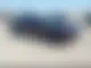 Vehicle Image- 2020 Dodge Challenger