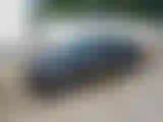 Vehicle Image- 2021 Dodge Challenger