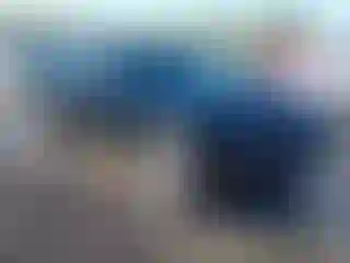 Vehicle Image- 2016 Dodge Challenger