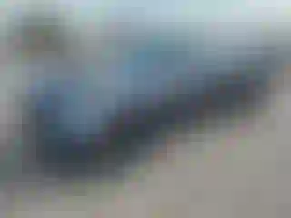 Vehicle Image- 2016 Dodge Challenger