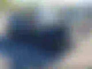 Vehicle Image- 2016 Dodge Challenger