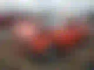 Vehicle Image- 2017 Dodge Challenger