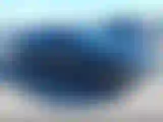 Vehicle Image- 2016 Dodge Challenger