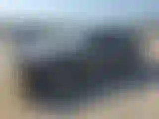 Vehicle Image- 2019 Dodge Challenger