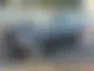 Vehicle Image- 2019 Dodge Challenger