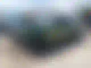 Vehicle Image- 2022 Dodge Challenger