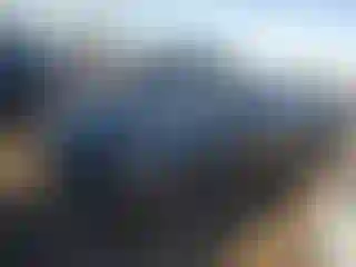 Vehicle Image- 2017 Dodge Challenger