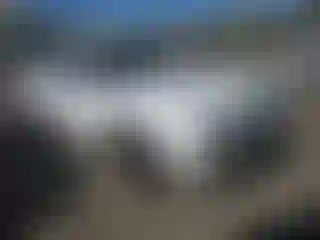 Vehicle Image- 2016 Dodge Challenger