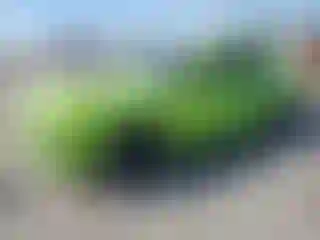 Vehicle Image- 2015 Dodge Challenger