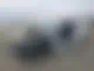 Vehicle Image- 2016 Dodge Challenger