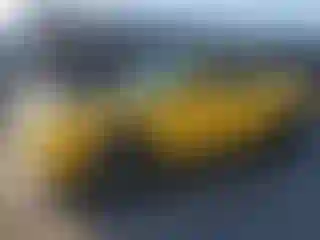 Vehicle Image- 2017 Dodge Challenger