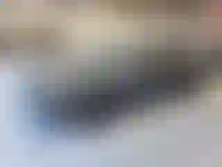 Vehicle Image- 2019 Dodge Challenger