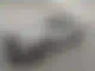 Vehicle Image- 2021 Dodge Challenger