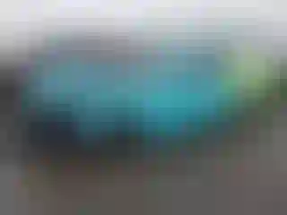 Vehicle Image- 2022 Dodge Challenger