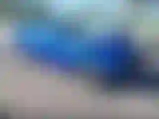 Vehicle Image- 2021 Dodge Challenger