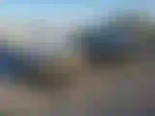 Vehicle Image- 2016 Dodge Challenger