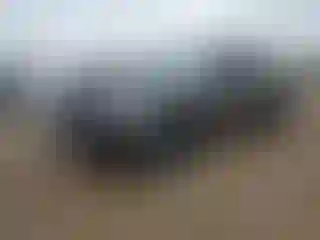 Vehicle Image- 2021 Dodge Challenger