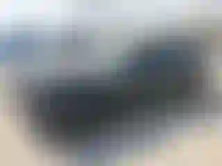 Vehicle Image- 2023 Dodge Challenger