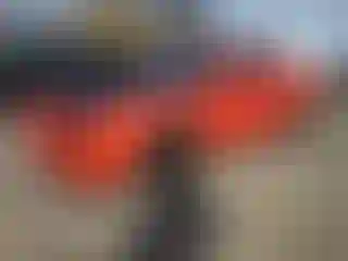 Vehicle Image- 2016 Dodge Challenger