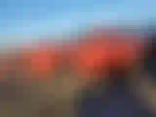 Vehicle Image- 2017 Dodge Challenger