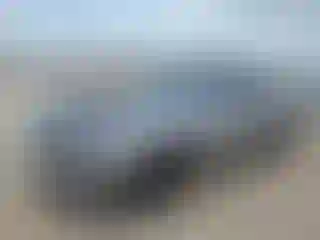 Vehicle Image- 2016 Dodge Challenger