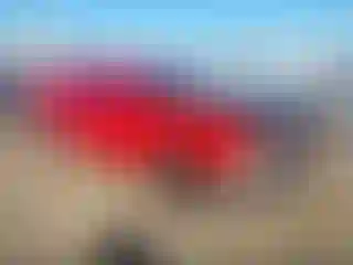 Vehicle Image- 2016 Dodge Challenger