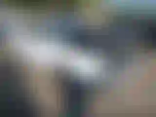 Vehicle Image- 2019 Dodge Challenger